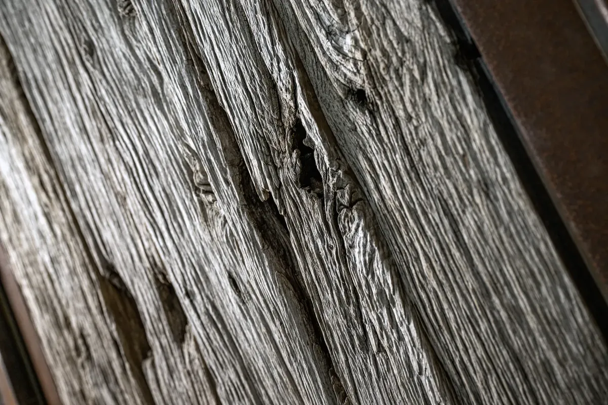 Detail: echtes Treibholz, von Sonne, Wind und Meer gezeichnet